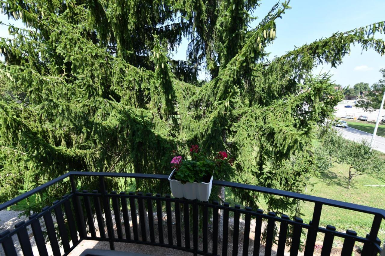 Apartmani Zagi Rakovica Exterior foto